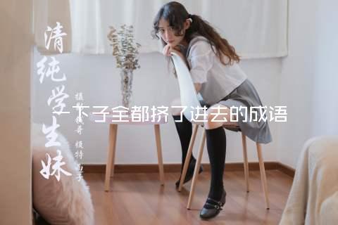 一下子全都挤了进去的成语